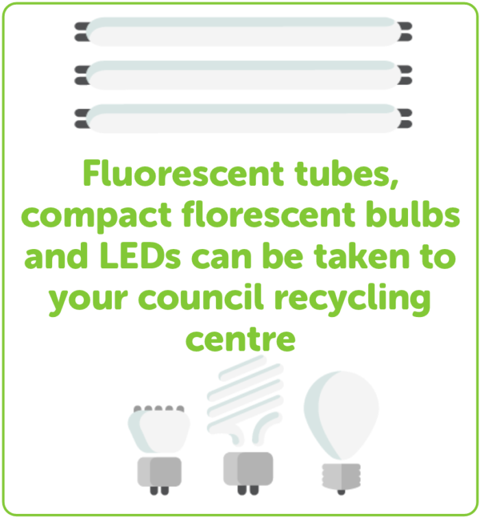 All about Light Bulbs and Recycling Recolight