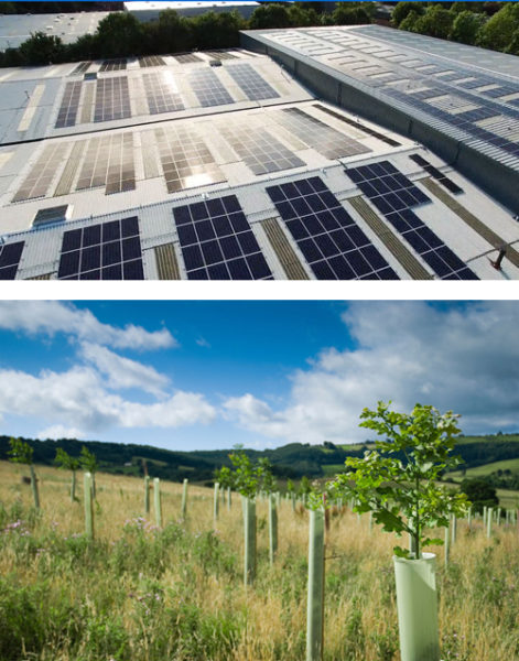 Thorlux PV panels and tree plantation