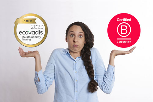 ecovadis b corp